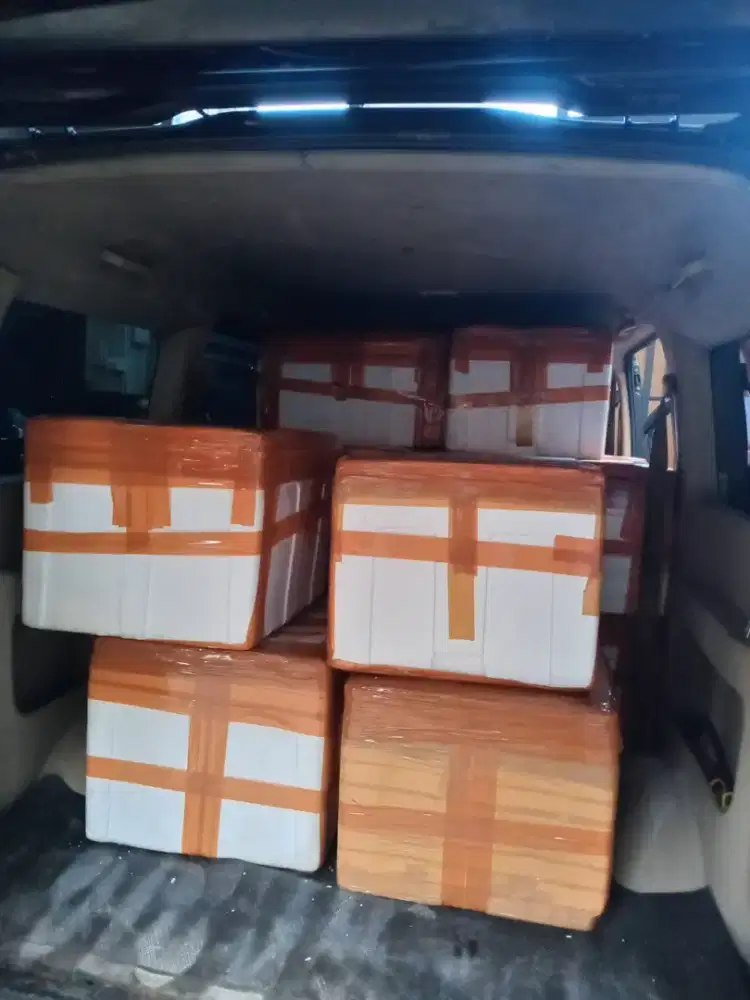 Daging Durian Premium Bergaransi