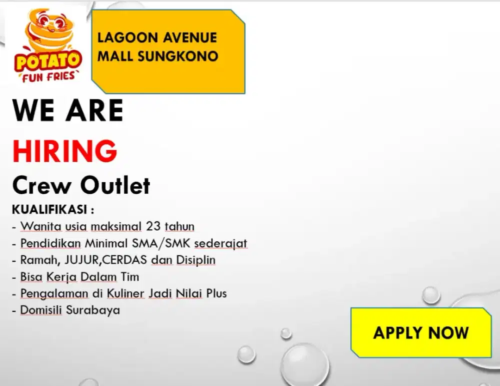 Lowongan crew outlet stand potato