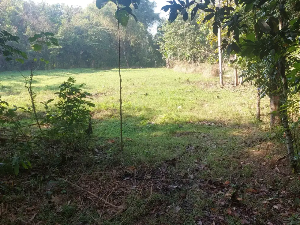 Bangunjiwo, Tanah Kasihan Bantul, Dekat RS PKU Muhammadiyah Gamping