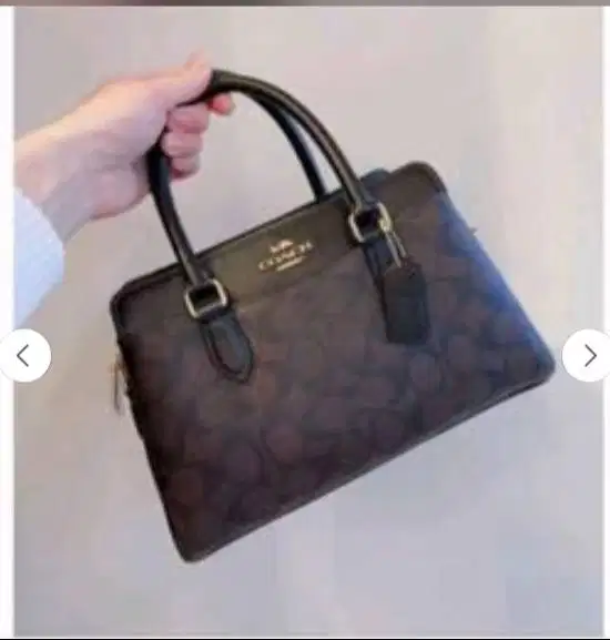 C04ch darcie mini carryall free box