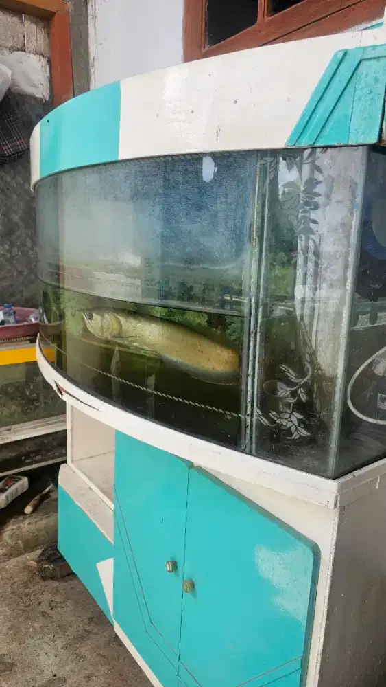 Aquarium + ikan arwarna