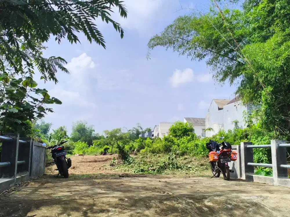 Tanah Kavling Dekat Thursina & Kampus UIN Malang Cocok Untuk Tabungan