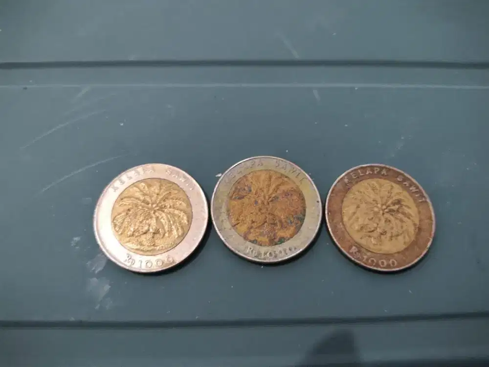 Uang Koin Kelapa Sawit