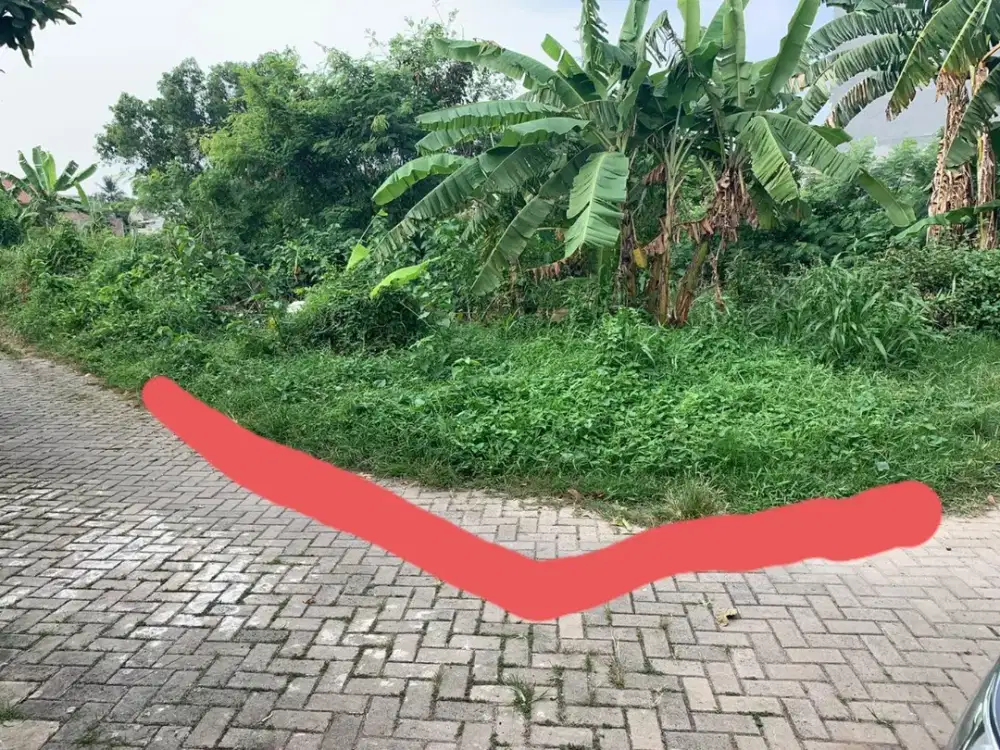 Kavling Persegi Panjang Bebas Banjir di Jl Patriot, Sudimara Pinang. Dekat Jalan Raya dan Fasilitas Umum