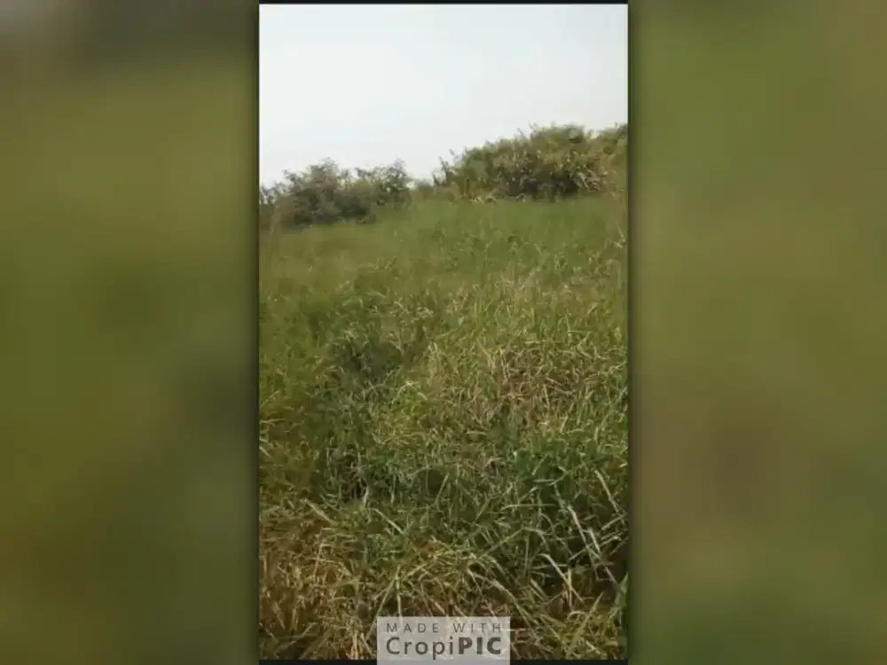 Dijual Tanah di Desa Sukadaya Kab Bekasi