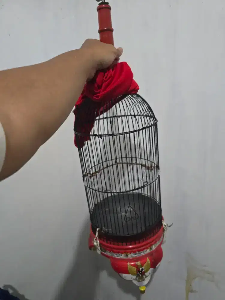 Kandang sangkar helopet