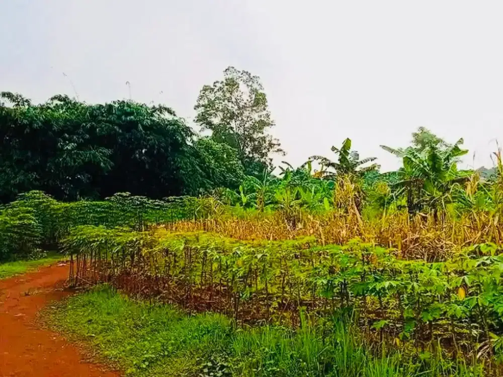 Dijual Tanah Matang Siap Bangun 3800 m2 di Ciketing Udik Bantar Gebang