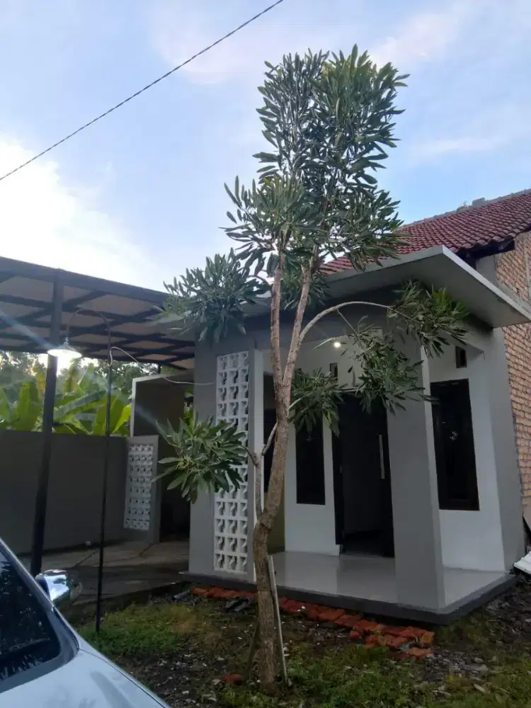 Disewakan rumah baru jatingaleh dekat unika semarang