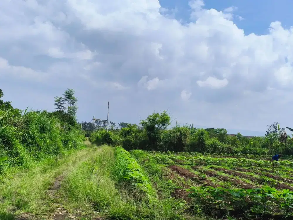 Tanah Kota Malang Dekat Kampus UIN Cocok Untuk Tabungan atau Kost