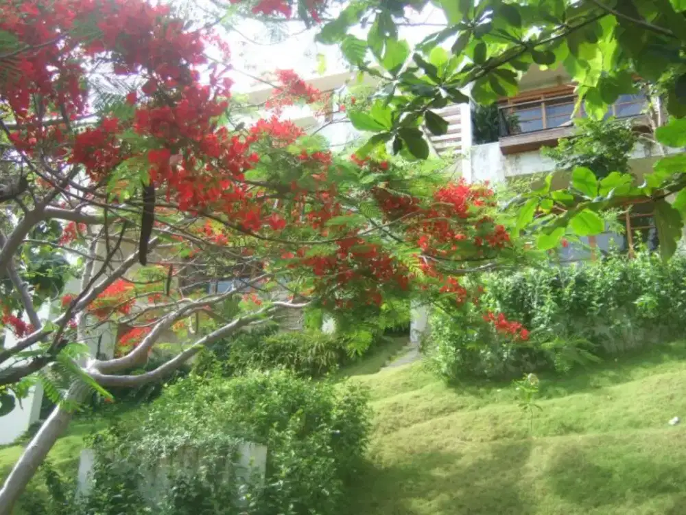 Dibutuhkan tukang masak di rumah