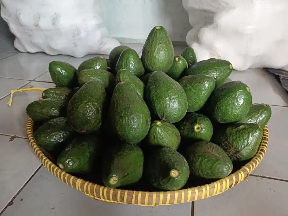 Alpukat Mentega, Cabai Gendot dan Kentang