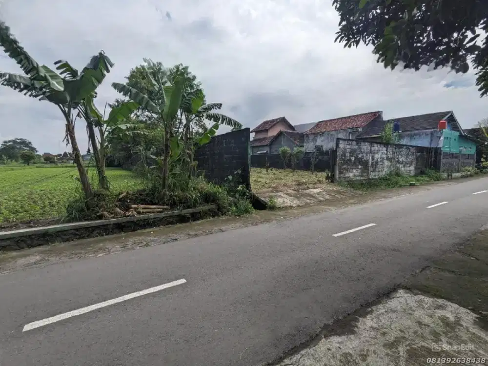 Dijual Tanah Murah Sleman Jogja Dekat Hotel Hyatt Jalan Palagan