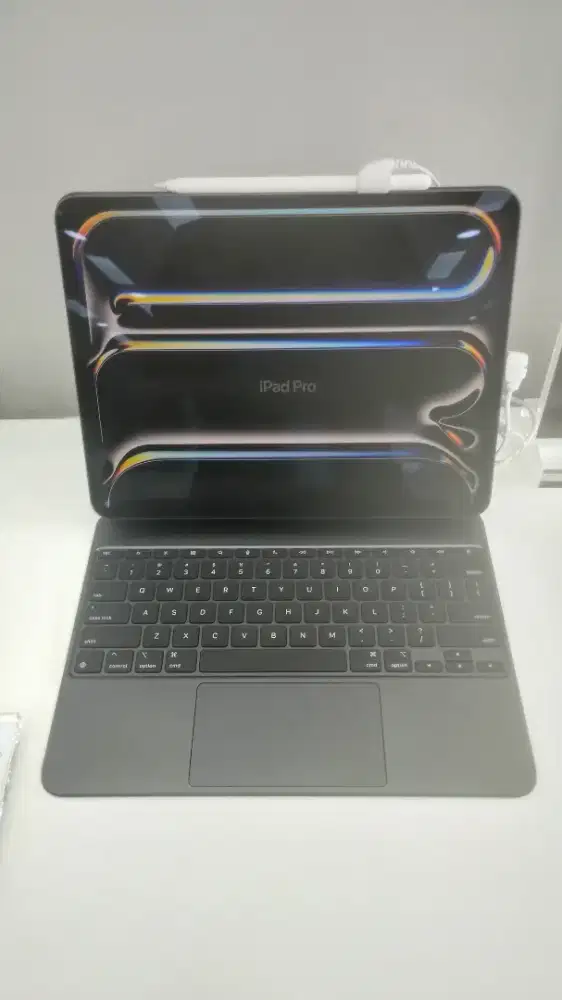 iPad Pro 11 inci WIFI 256