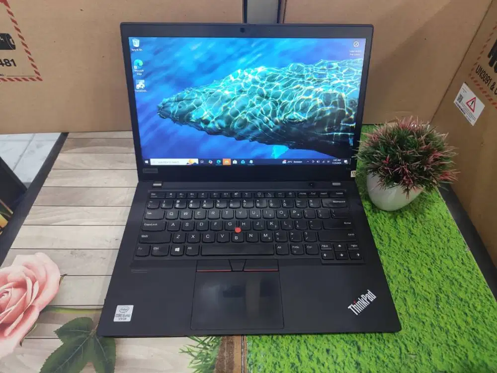 Laptop Lenovo ThinkPad T14 Intel Core i5-10310U RAM 16GB SSD 256GB