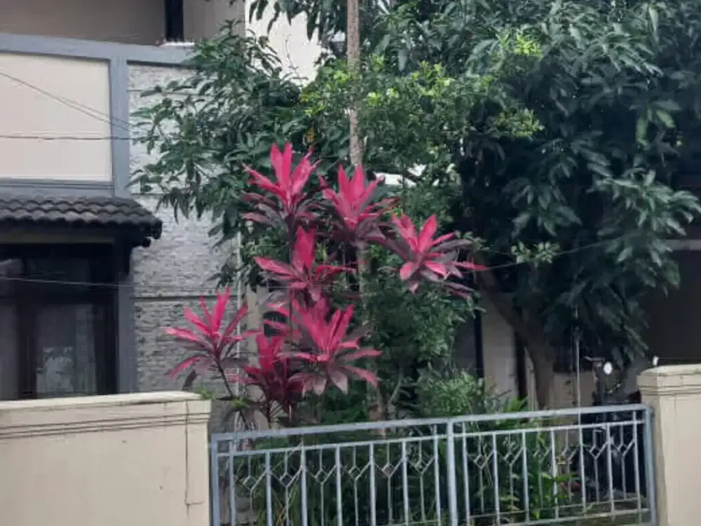 Rumah Nyaman Unfurnish Di Komplek Sauyunan Cibaduyut Bandung