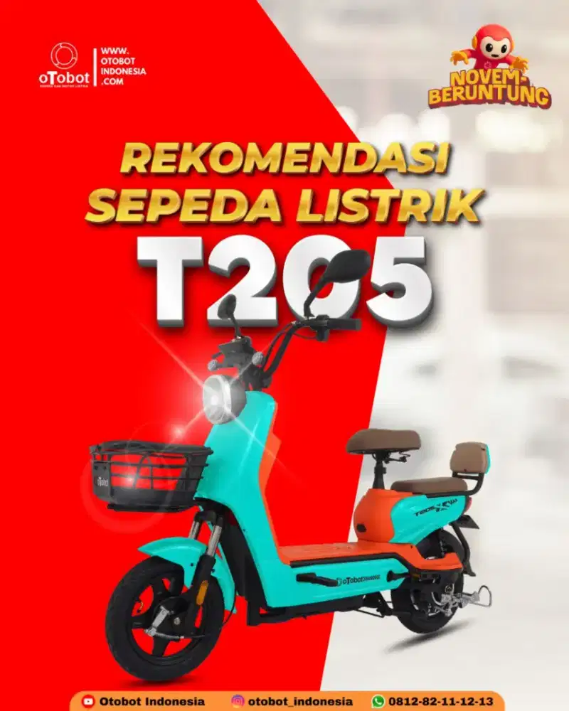 Sepeda Listrik T205