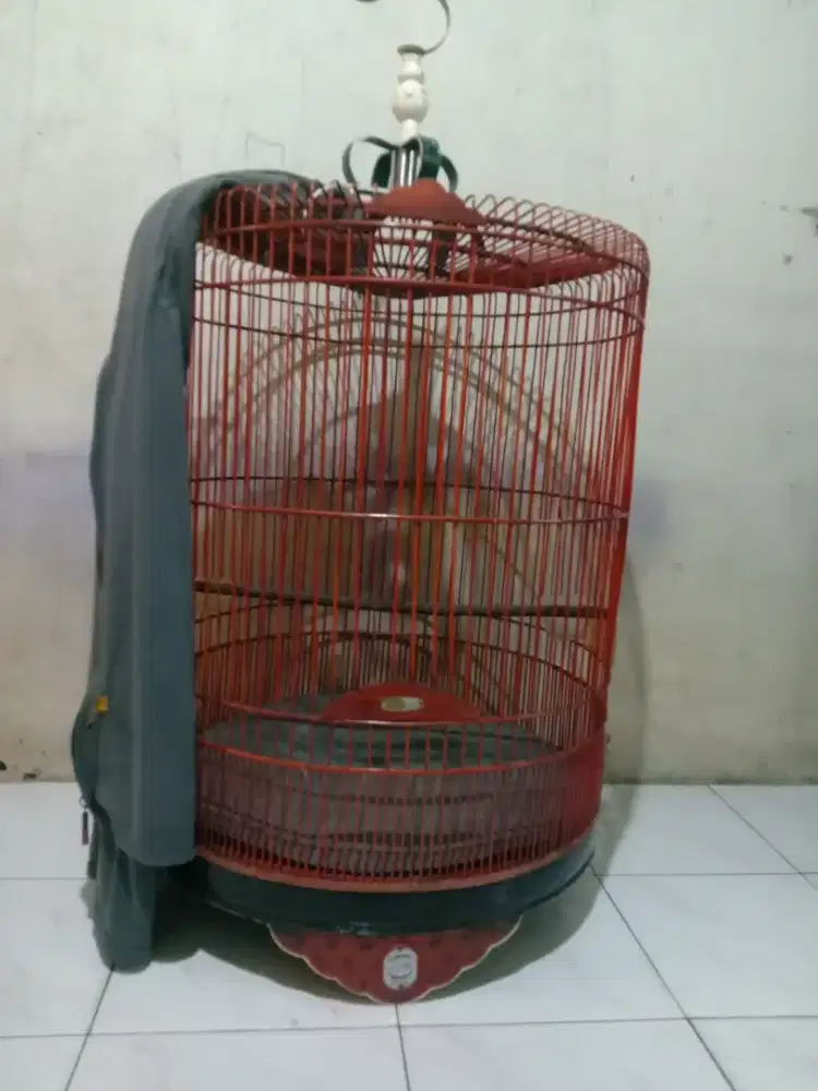 Kandang murai Rafi jaya list akrilik no 2 fulset 500 k pdk aren