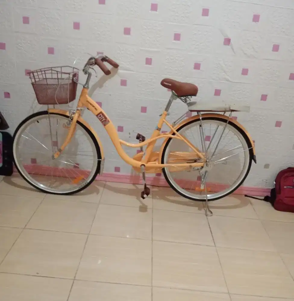 Sepeda wanita dewasa