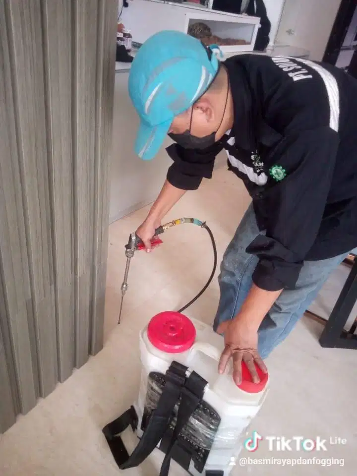 Ahli Basmi Rayap Hingga Tuntas