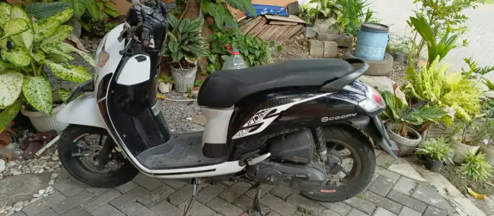 Honda scoopy 2019