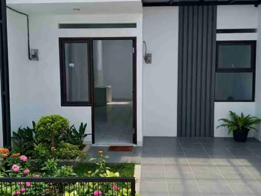 cluster golden b cinunuk