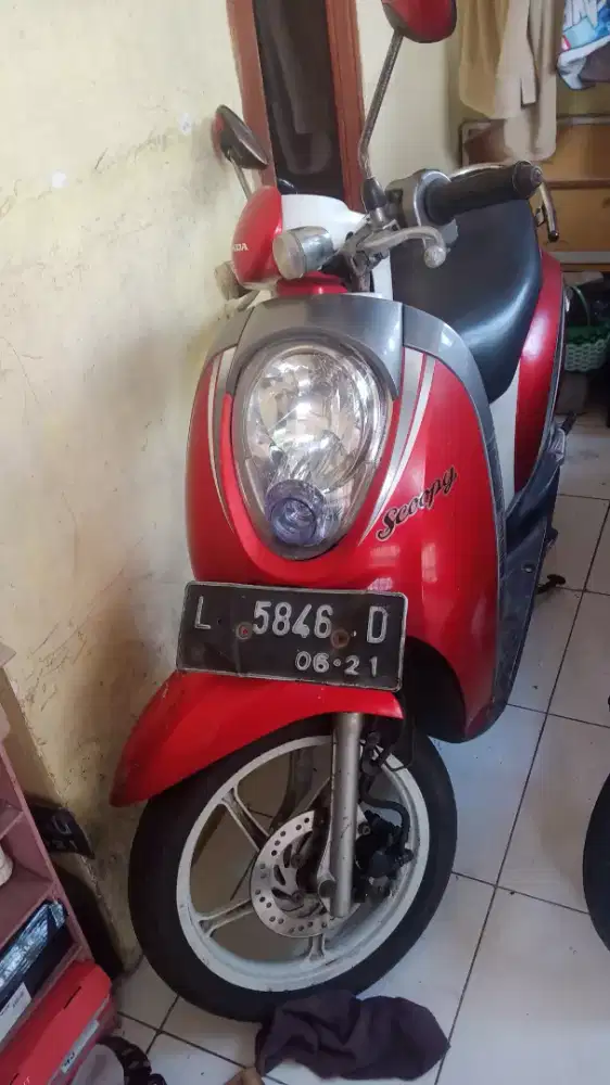 Scoopy 2011 orsinilan