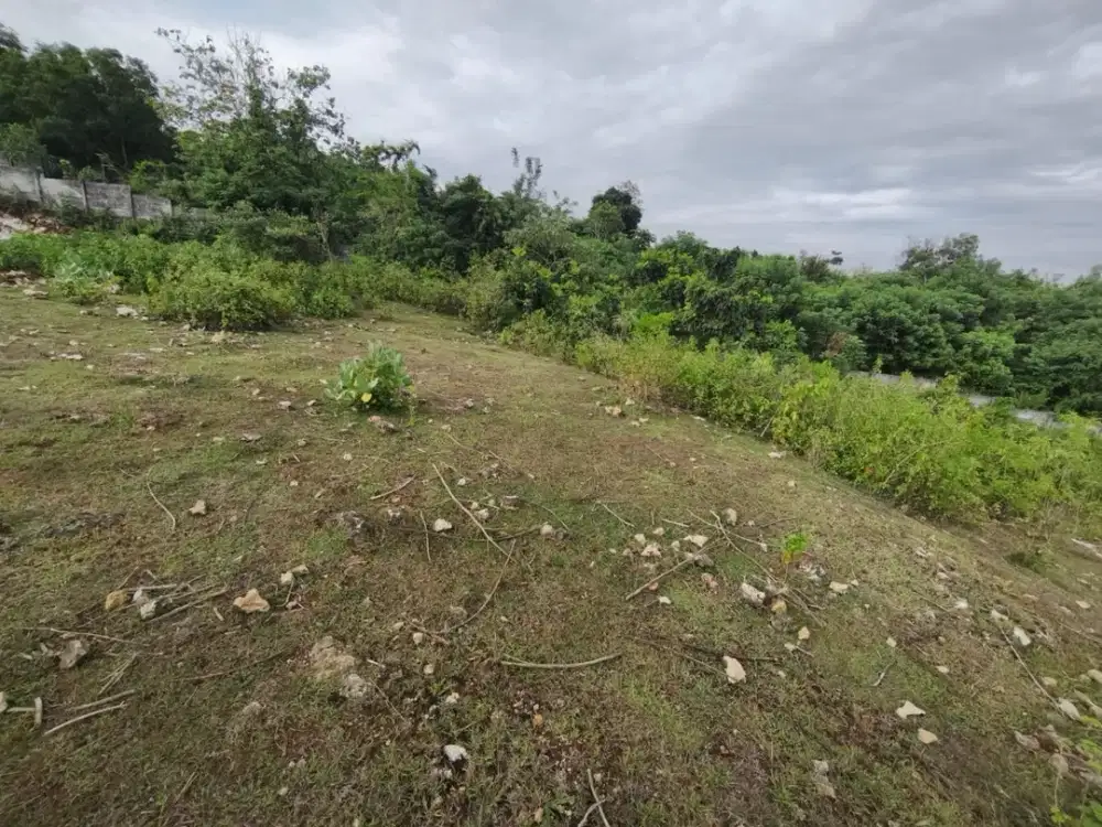 Di jual tanah murah Dekat kampus unud Jimbaran