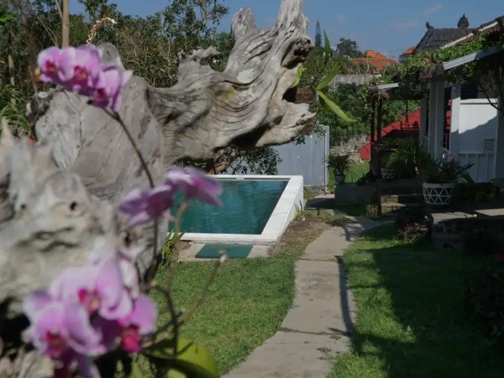 Leasehold - Tropical Oasis in Batu Mejan - 9 Bungalows with Pool & Garden, Canggu, Bali