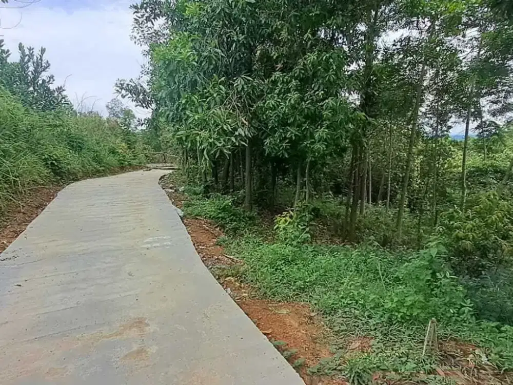 JUAL CEPAT BU LAHAN KEBUN DI DAYEUH,JONGGOL,BOGOR