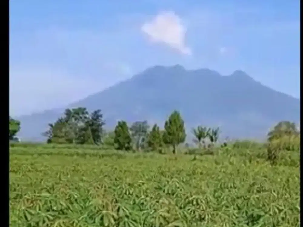 Jual Tanah Bogor Caringin Pinggir Jalan Raya Bogor dan Tol