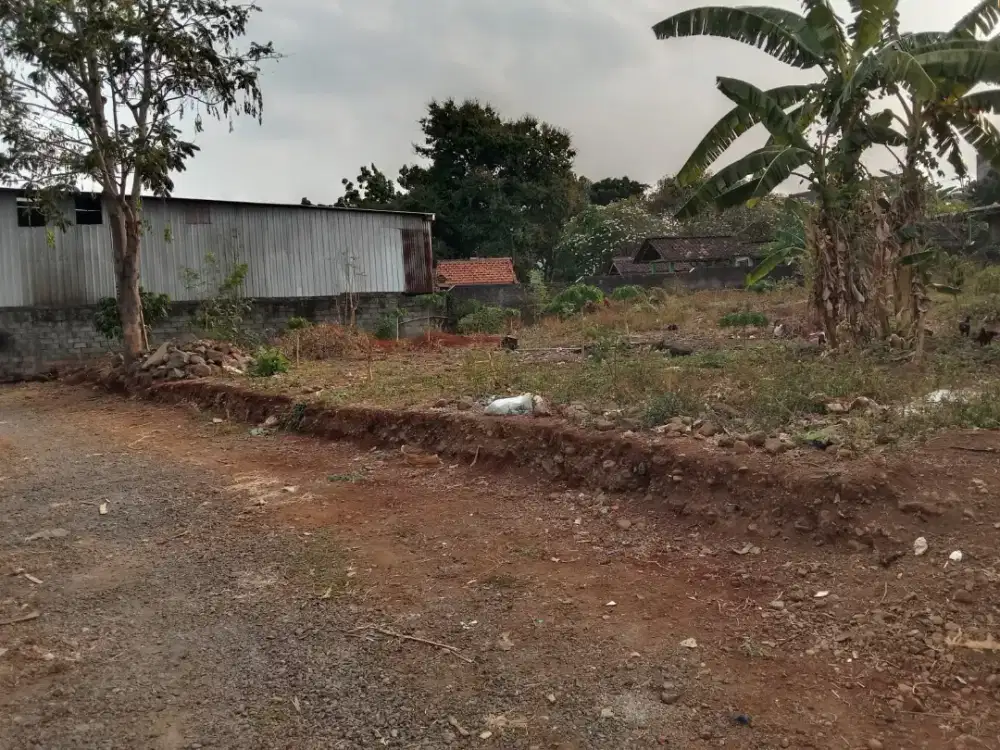 TANAH TIMOHO RING 1 UNDIP TEMBALANG