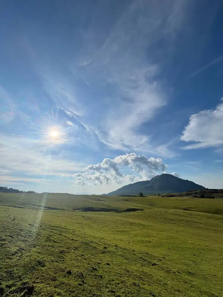 Lowongan KERJA untuk Driver Barang