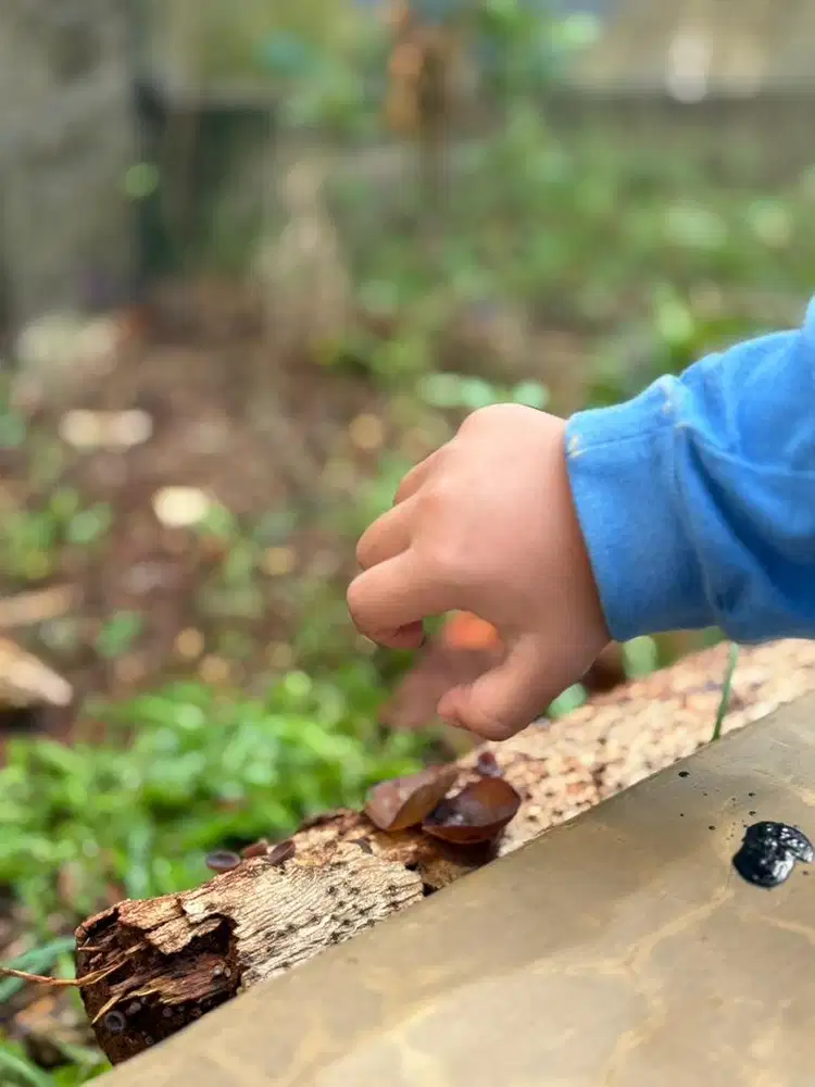 LOWONGAN PENGASUH ANAK