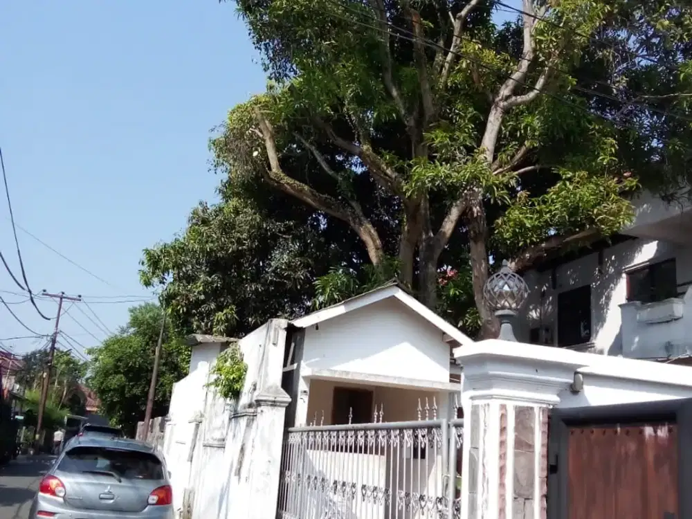 Di sewakan Rumah di jalan melati (Ragunan) Bisa Buat MBG luas dan Cocok Untuk Kantor