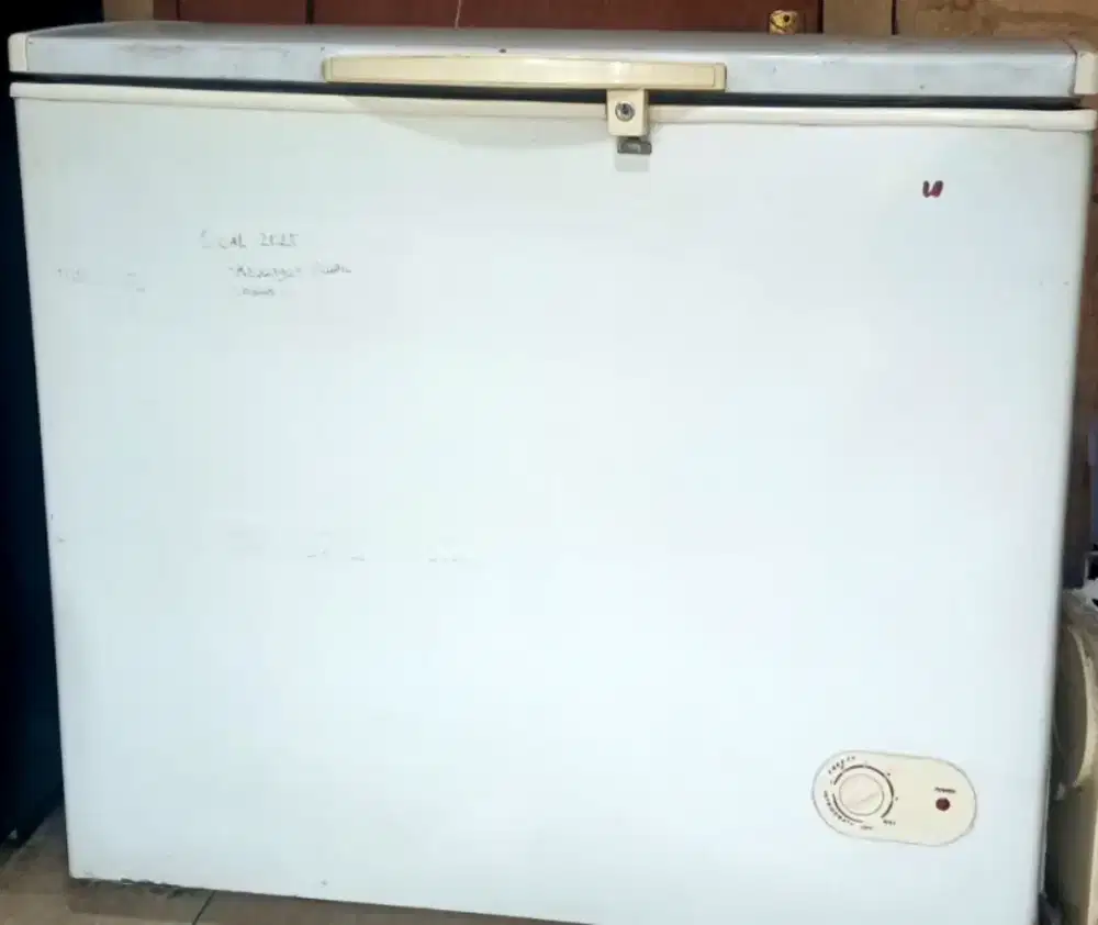 Freezer merek denpo kapasitas 250L