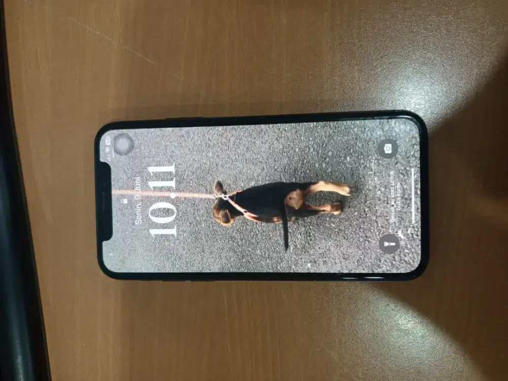 JUAL CEPAT I-PHONE X 256 GB INTERN