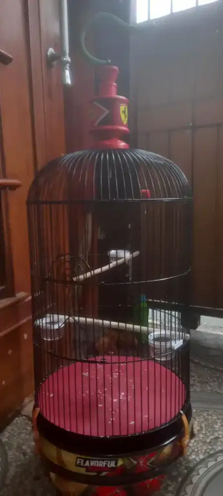 Kandang burung lakbet