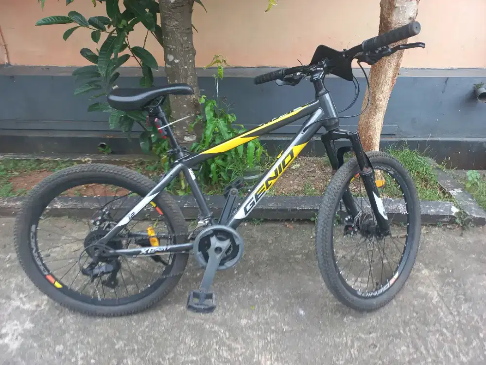 Sepeda pacific genio dewasa