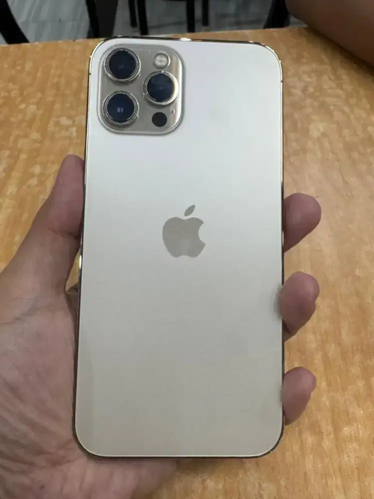 Dijual iphone 12PM 128GB