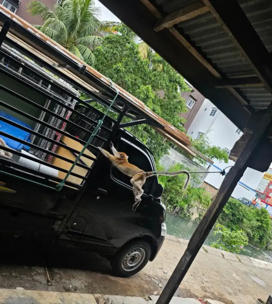 Sewa pickup granmax, angkut barang & pindahan. Jujur & amanah