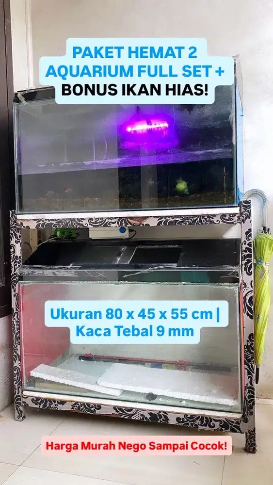 DIJUAL CEPAT! PAKET 2 AQUARIUM FULL SET UKURAN BESAR + BONUS IKAN HIAS