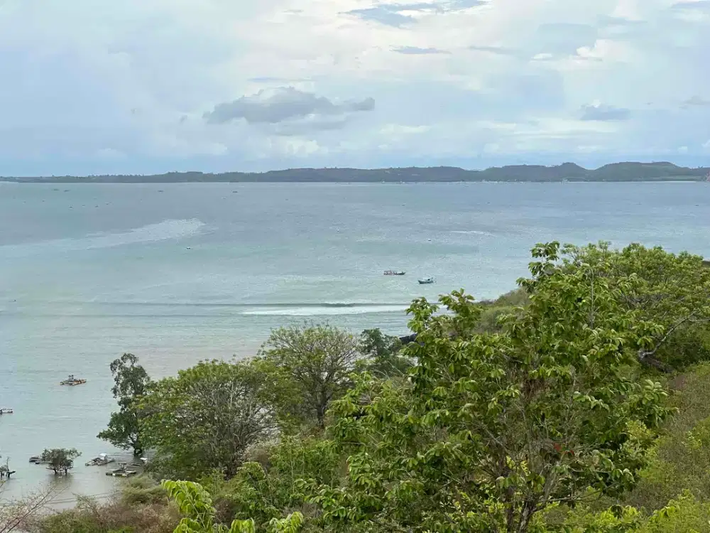 tanah murah dekat pantai Awang Mandalika Lombok. Cocok untuk villa atau investasi