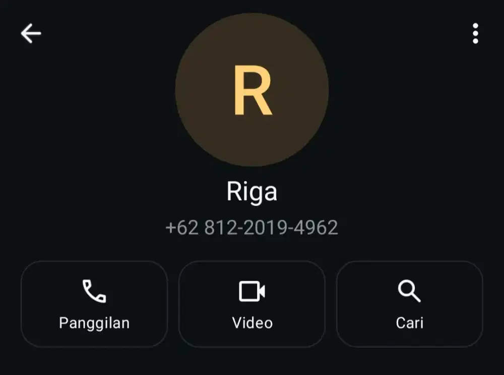AMD RYZEN 5 5600G + 2 Monitor