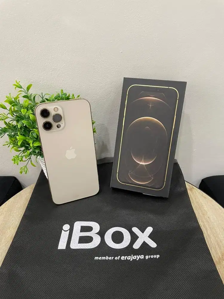 IPhone 12 ProMax 512GB iBox Gold mulus Fullset BH 100% Permanent
