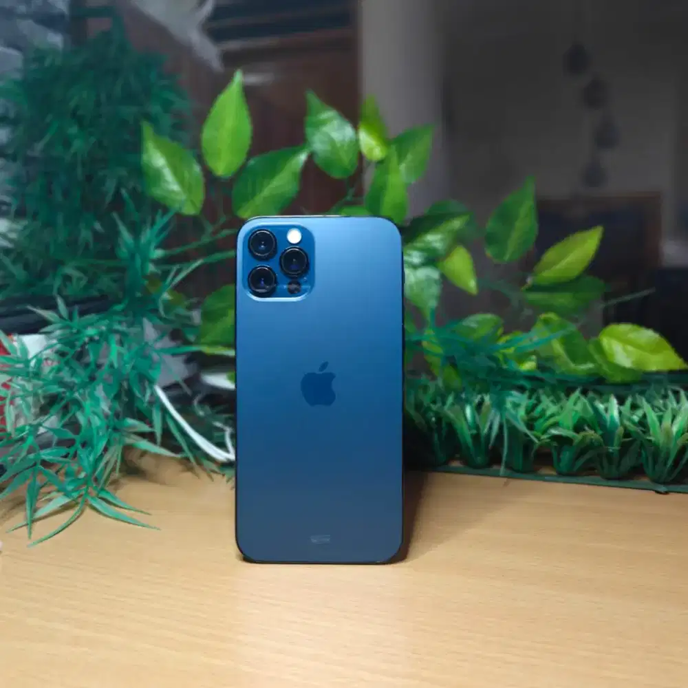 iPhone 12 Pro  256 GB bezel dent ex ibox