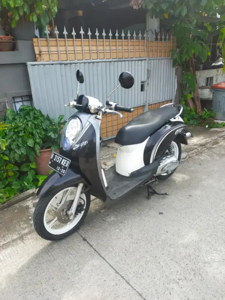 Honda Scoopy 2011