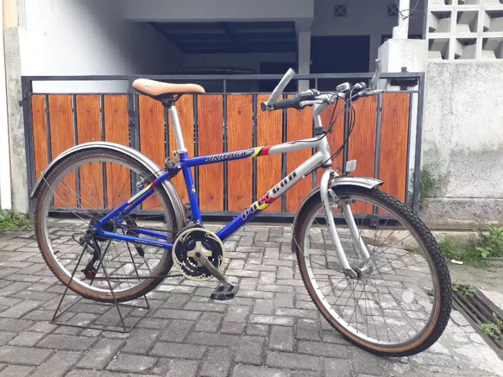 Sepeda gunung mtb polygon unitoga vintage