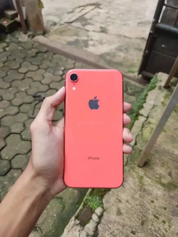 iPhone xr beacukai