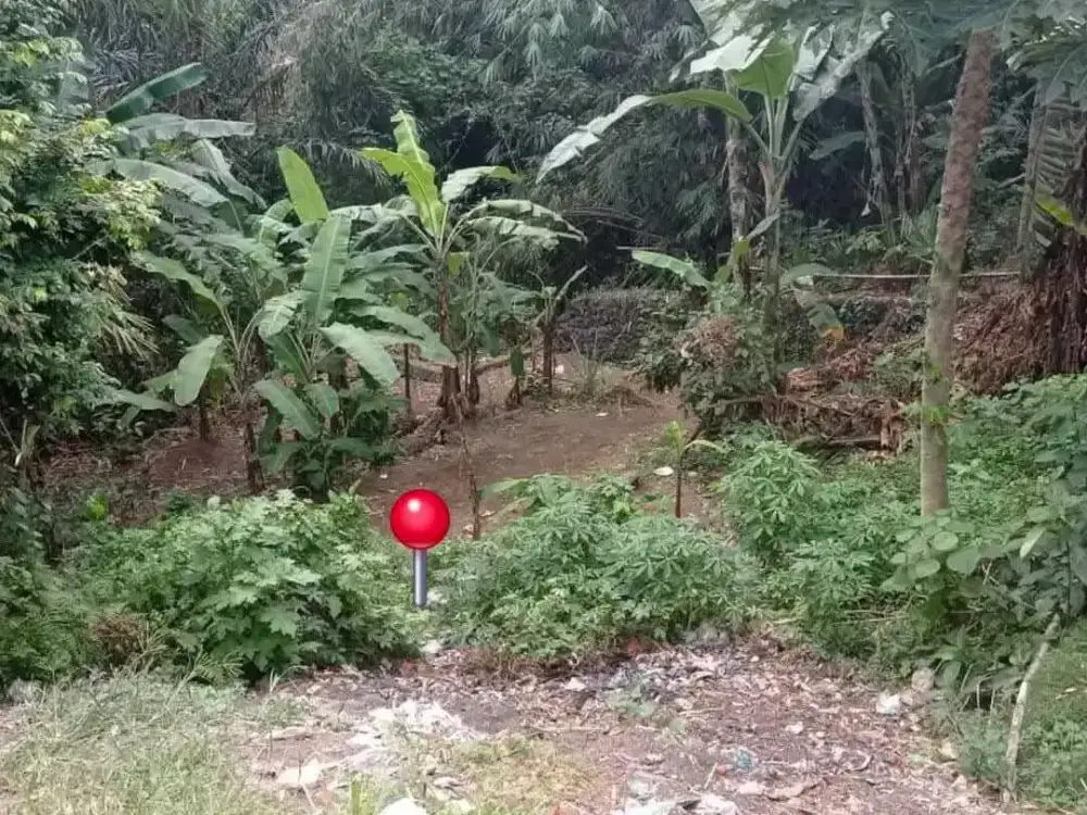 Land for sale in Mengwi, Bali