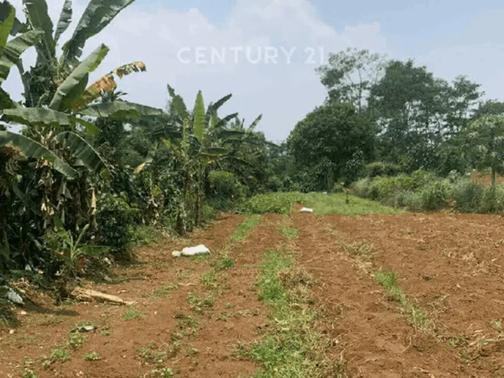 Tanah Luas Dan Strategis  Dengan Harga Menarik Di Bogor